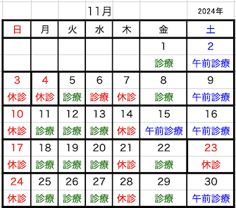 2024年11月診療b